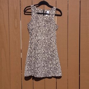 Brand New Cheetah Skater Dress